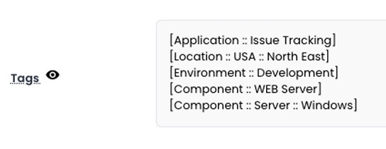 Custom website dashboard with issue tracking and environment details for development.